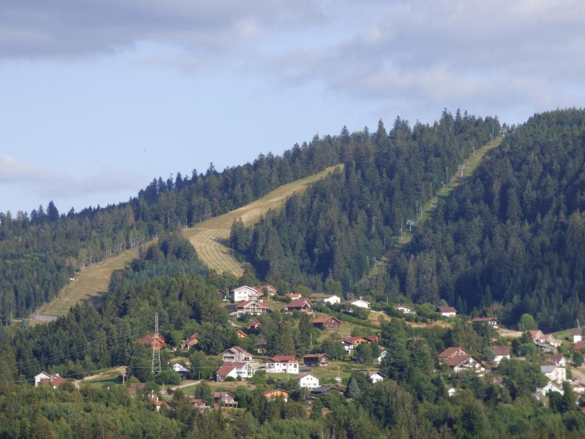 Les Charmes Du Lac Sauna Et Spa Villa Gerardmer Exterior photo